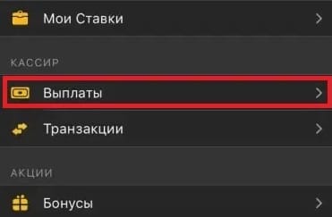 Выплаты в приложении Мелбет на iOS